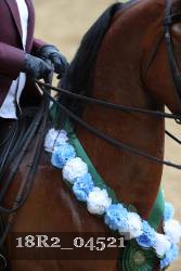 18R2_04521 thumbnail