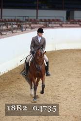18R2_04735 thumbnail
