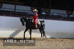 18R2_01726 thumbnail