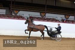 18R2_04262 thumbnail
