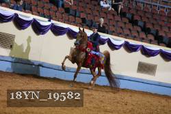 18YN_19582 thumbnail