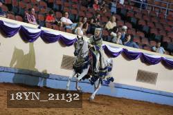 18YN_21132 thumbnail
