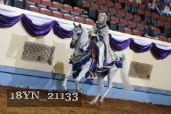 18YN_21133 thumbnail