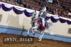 18YN_21142 thumbnail