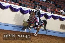 18YN_21145 thumbnail
