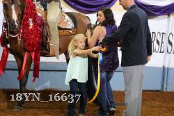 18YN_16637 thumbnail
