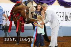 18YN_16638 thumbnail