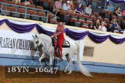 18YN_16647 thumbnail