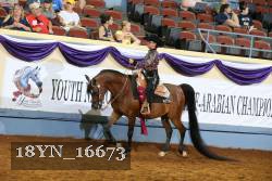 18YN_16673 thumbnail