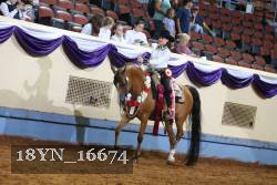 18YN_16674 thumbnail