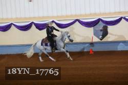 18YN_17765 thumbnail