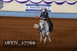 18YN_17766 thumbnail