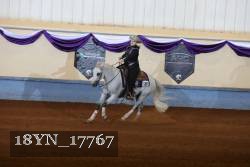 18YN_17767 thumbnail