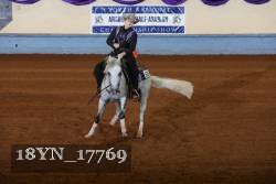 18YN_17769 thumbnail