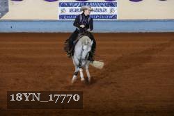 18YN_17770 thumbnail