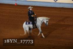 18YN_17773 thumbnail