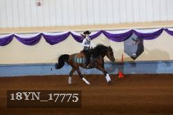 18YN_17775 thumbnail