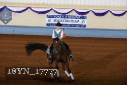 18YN_17777 thumbnail