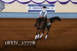 18YN_17778 thumbnail
