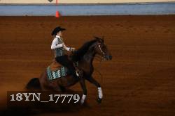 18YN_17779 thumbnail