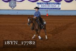 18YN_17782 thumbnail