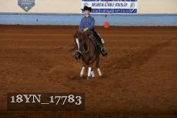 18YN_17783 thumbnail