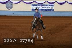 18YN_17784 thumbnail