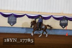 18YN_17785 thumbnail