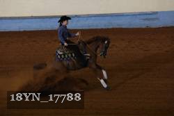 18YN_17788 thumbnail