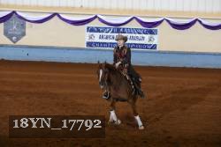 18YN_17792 thumbnail