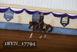 18YN_17794 thumbnail