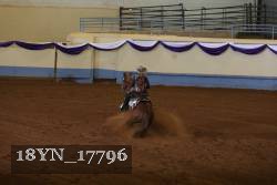 18YN_17796 thumbnail