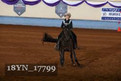 18YN_17799 thumbnail