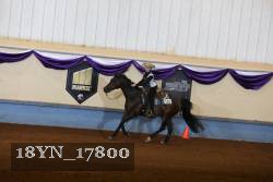 18YN_17800 thumbnail