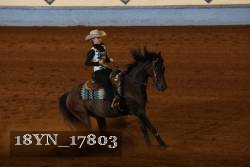 18YN_17803 thumbnail