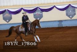 18YN_17806 thumbnail