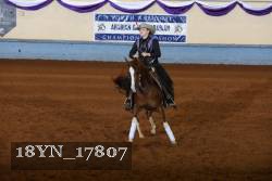 18YN_17807 thumbnail