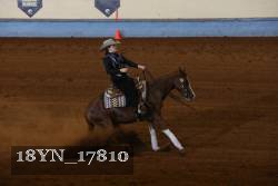 18YN_17810 thumbnail