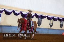 18YN_17864 thumbnail