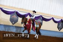 18YN_17873 thumbnail