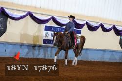 18YN_17876 thumbnail