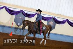 18YN_17879 thumbnail