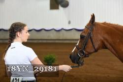 18YN_29181 thumbnail