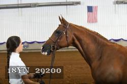18YN_29200 thumbnail