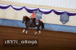 18YN_08096 thumbnail