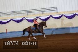 18YN_08101 thumbnail