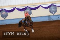 18YN_08103 thumbnail