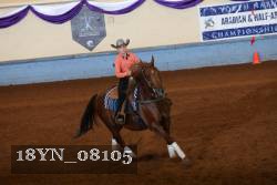 18YN_08105 thumbnail