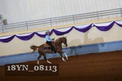 18YN_08113 thumbnail