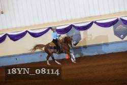 18YN_08114 thumbnail